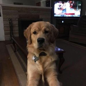 Meet your Posher, Audrey